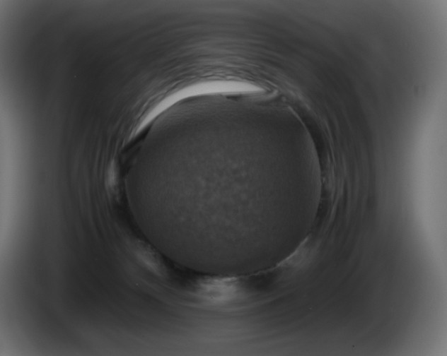 X0000087010132200704161548