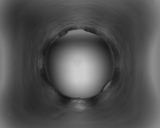 X0000087010133200704161548