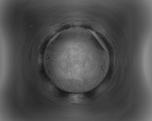 X0000087010135200704161548