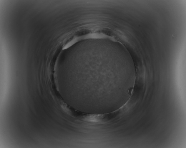 X0000087010136200704161548