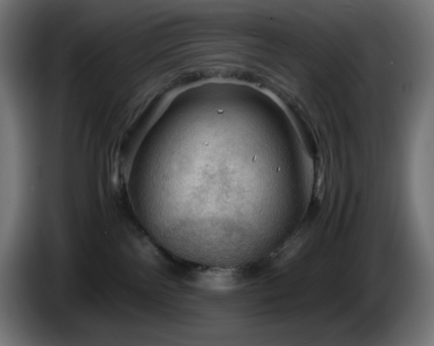 X0000087010138200704161548