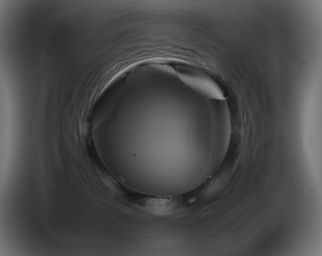 X0000087010139200704161548