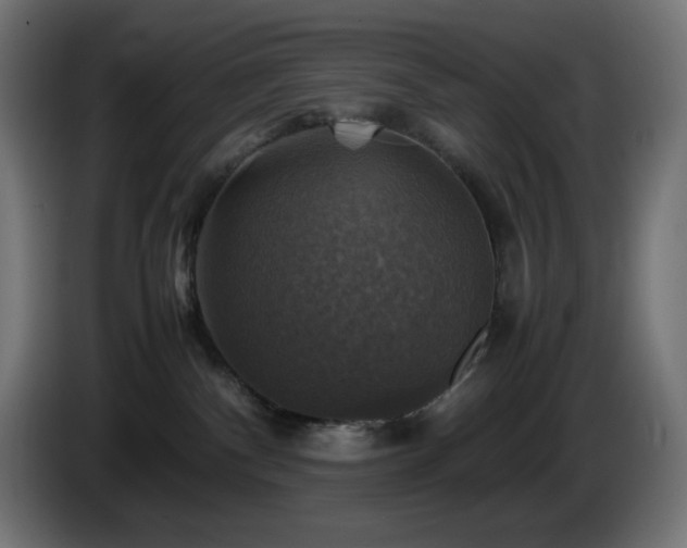 X0000087010140200704161548