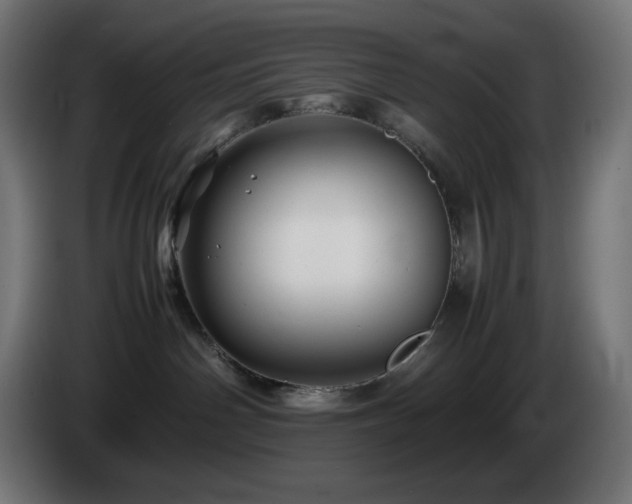 X0000087010142200704161548