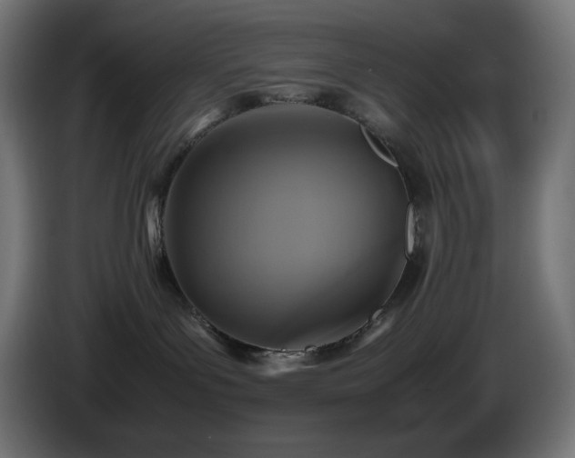 X0000087010143200704161548