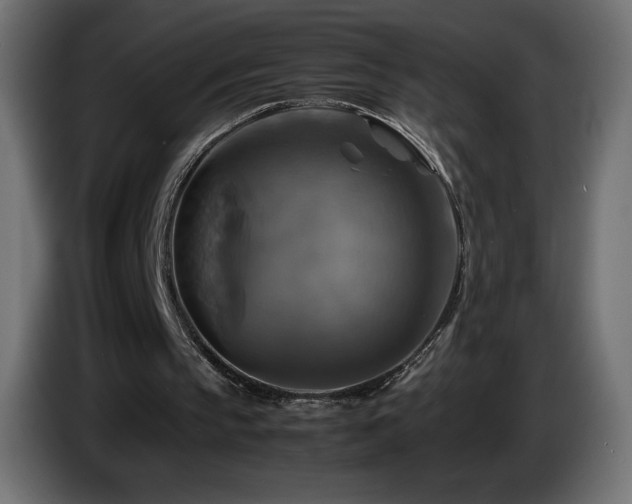 X0000087010145200704161548
