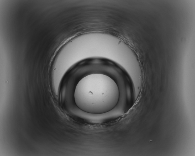 X0000087010146200704161548