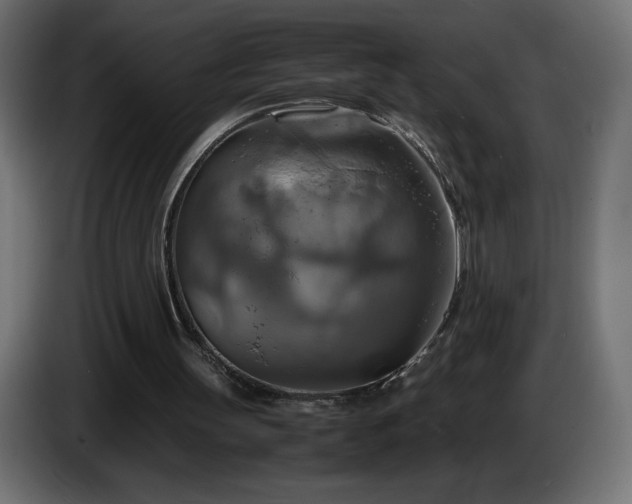 X0000087010147200704161548