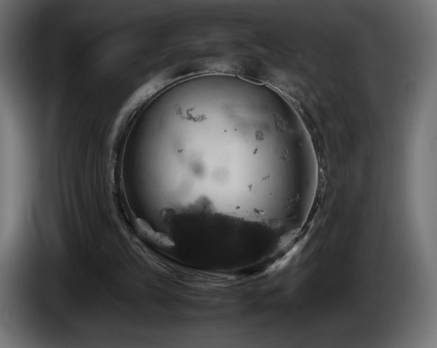 X0000087010149200704161548