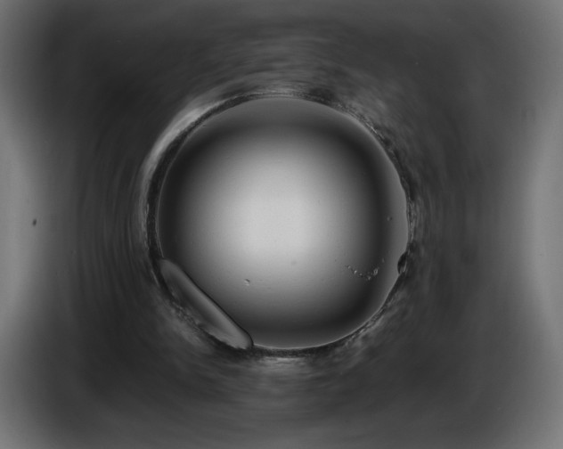 X0000087010150200704161548
