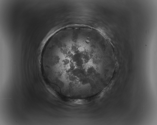 X0000087010151200704161548