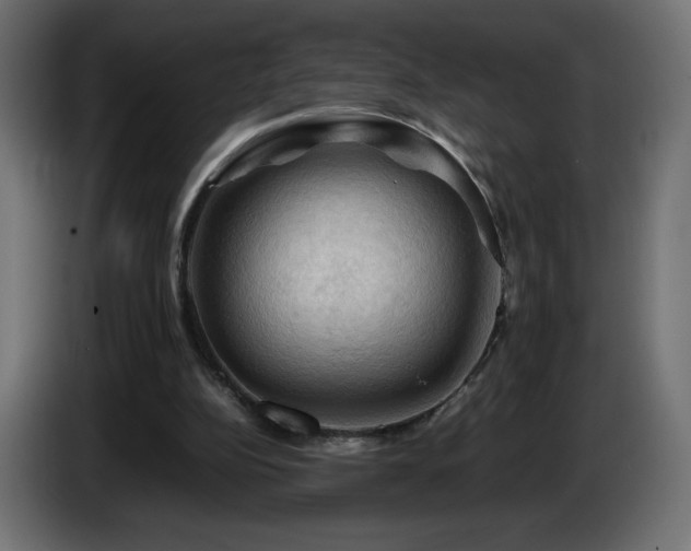 X0000087010152200704161548