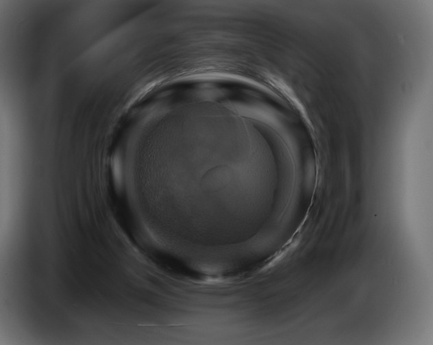 X0000087010154200704161548