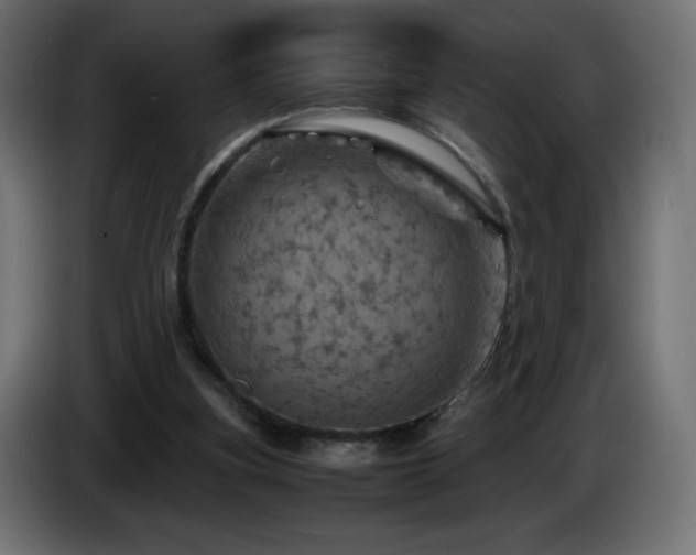X0000087010155200704161548