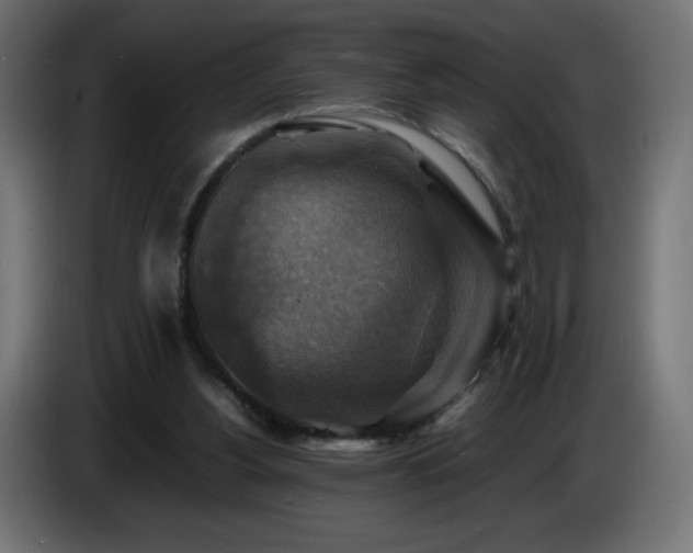 X0000087010156200704161548