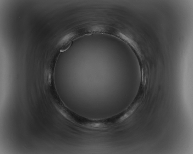 X0000087010157200704161548