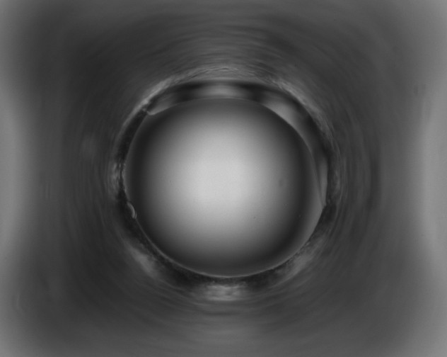 X0000087010160200704161548