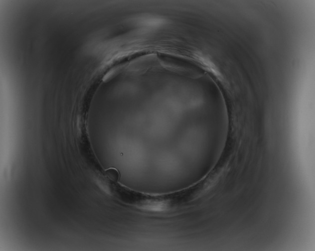 X0000087010161200704161548