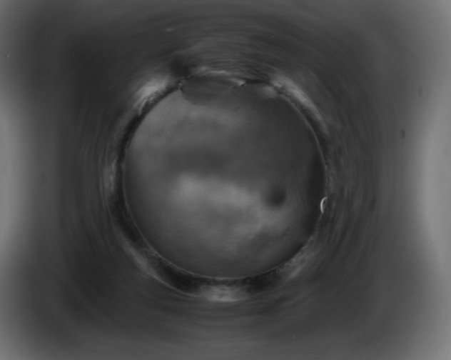 X0000087010163200704161548