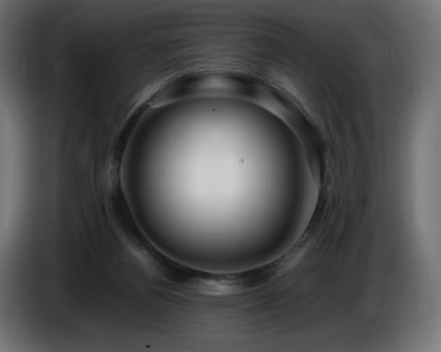 X0000087010164200704161548