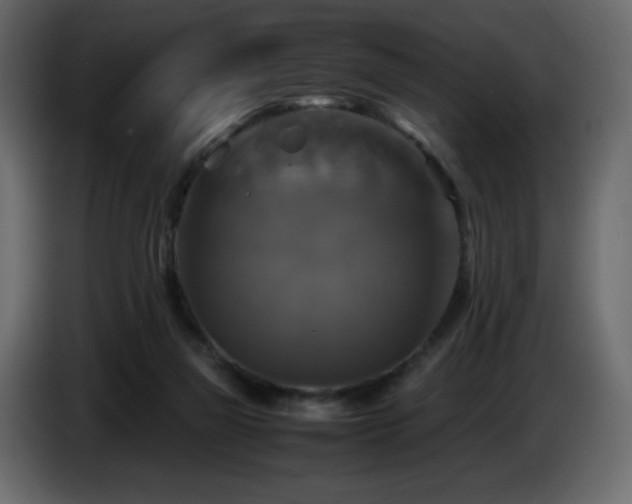 X0000087010165200704161548