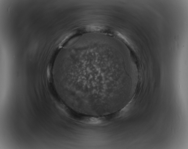 X0000087010166200704161548