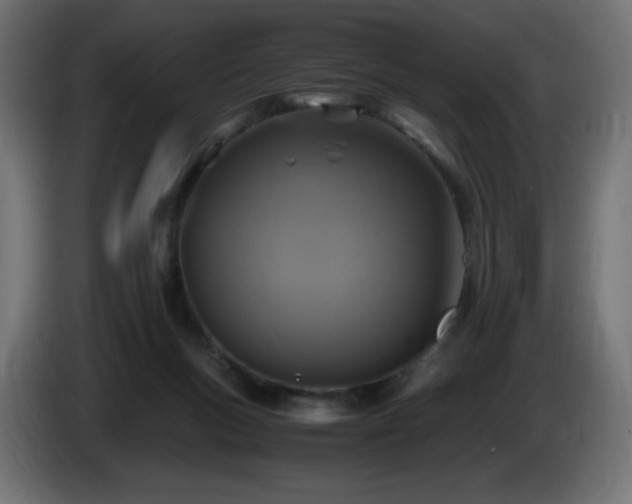 X0000087010167200704161548