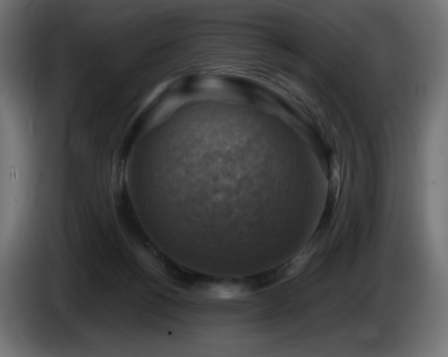 X0000087010168200704161548