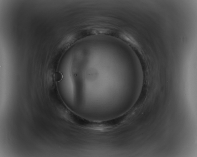 X0000087010169200704161548