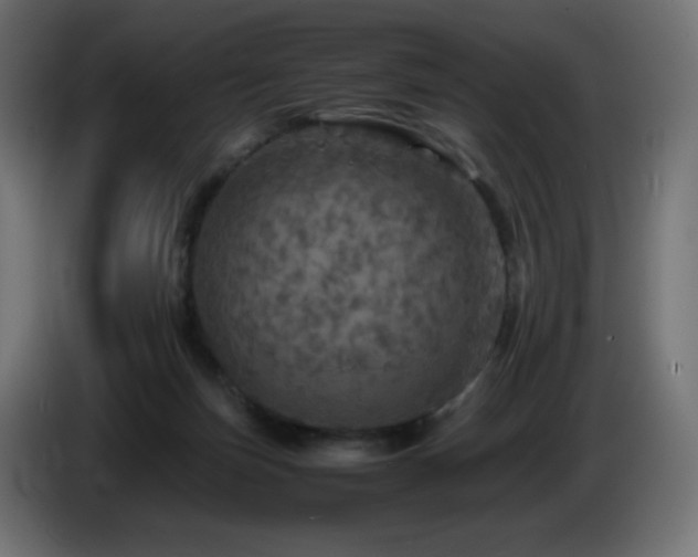 X0000087010171200704161548