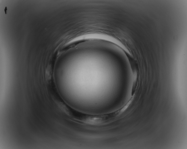 X0000087010174200704161548