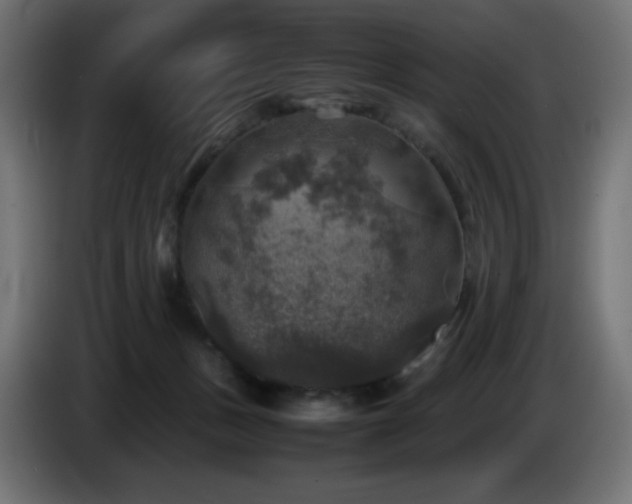 X0000087010175200704161548