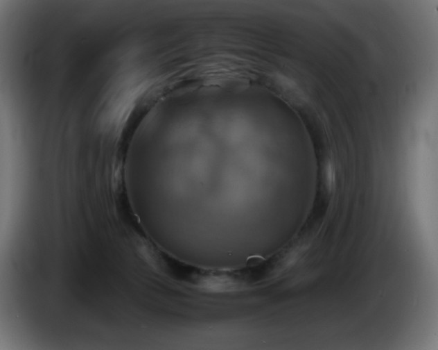 X0000087010177200704161548