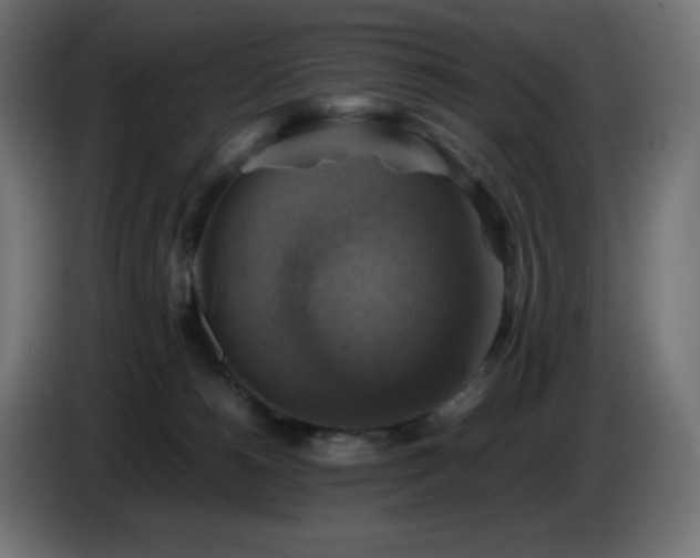 X0000087010180200704161548