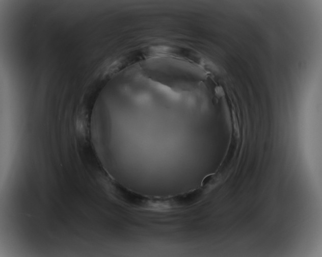 X0000087010181200704161548