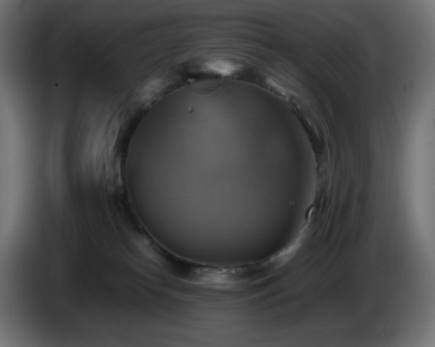 X0000087010182200704161548