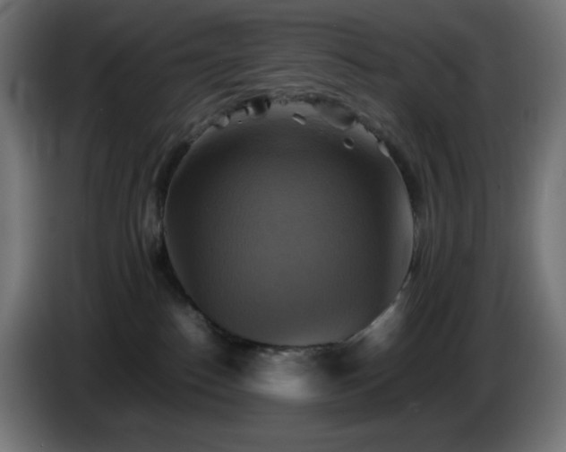 X0000087010186200704161548