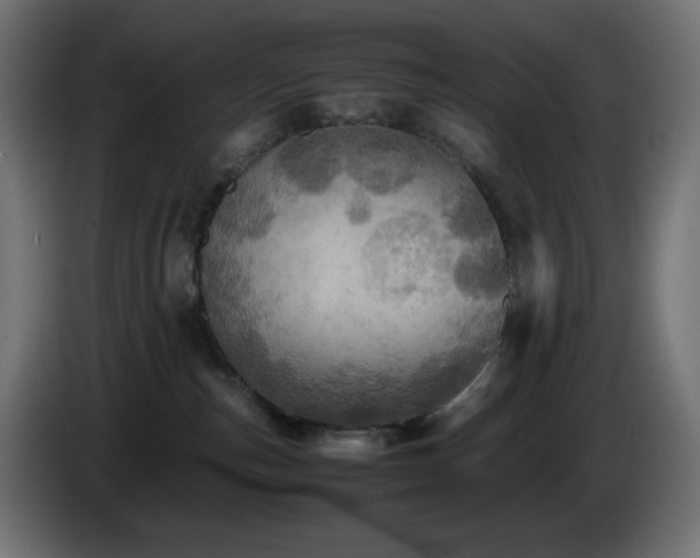 X0000087010187200704161548