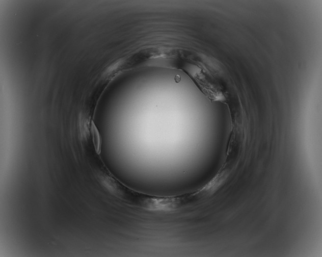 X0000087010188200704161548