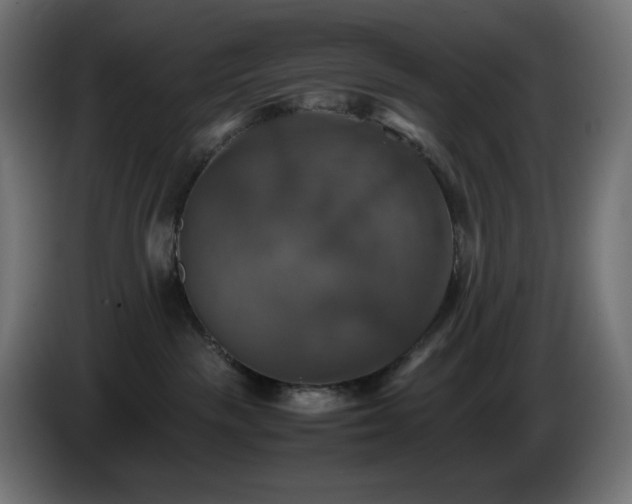 X0000087010189200704161548