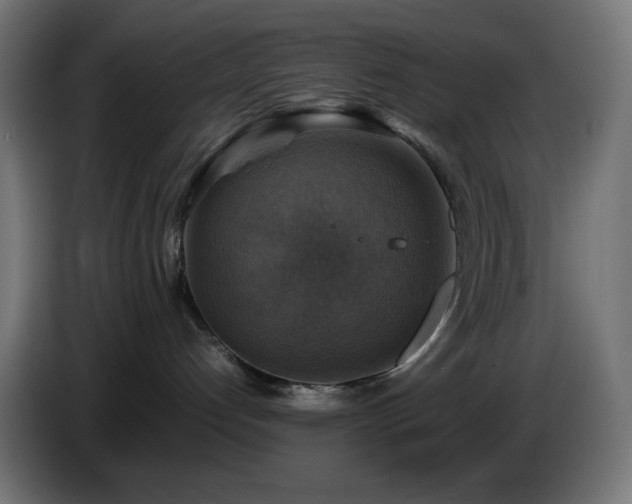 X0000087010192200704161548