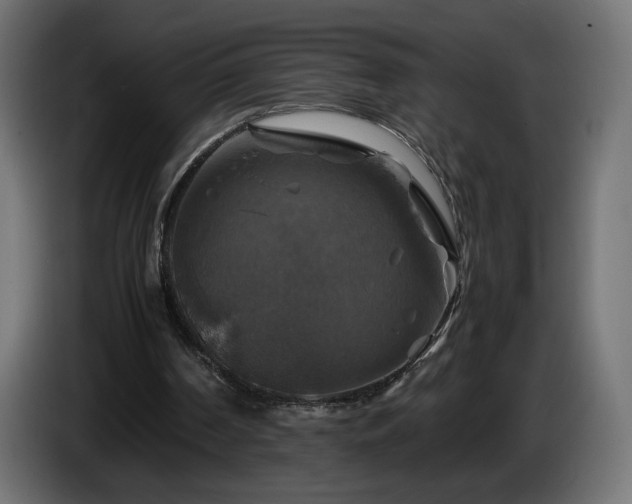 X0000087010194200704161548