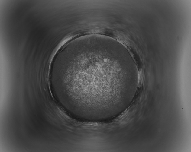 X0000087010195200704161548