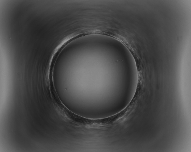 X0000087010196200704161548