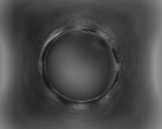 X0000087010198200704161548