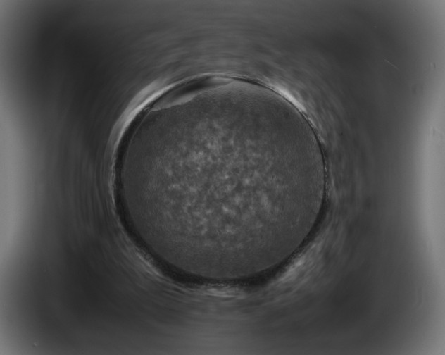 X0000087010199200704161548