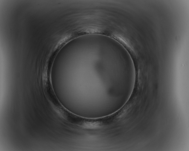 X0000087010202200704161548