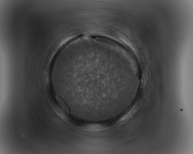 X0000087010203200704161548