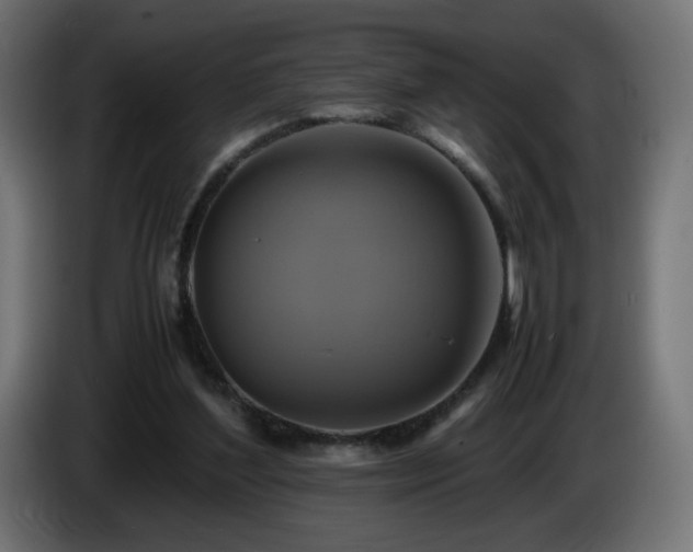 X0000087010204200704161548