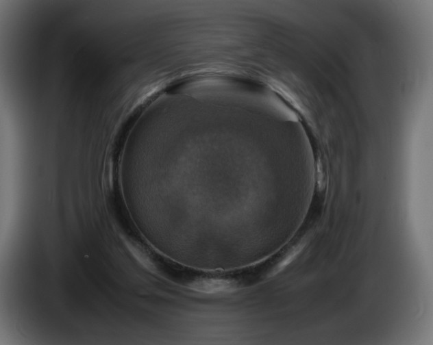 X0000087010205200704161548